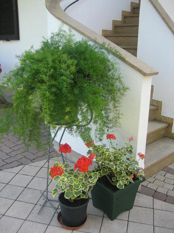 Appartement Weissbacher Лофер Екстериор снимка